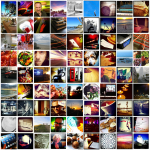 99 photos in 99 days 99 photos in 99 days
