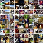 Project 365