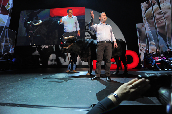 lior-zoref-and-the-ox-at-ted